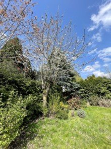 Garten F�r Gartenliebhaber individuelle Doppelhaush�lfte in J�chen.