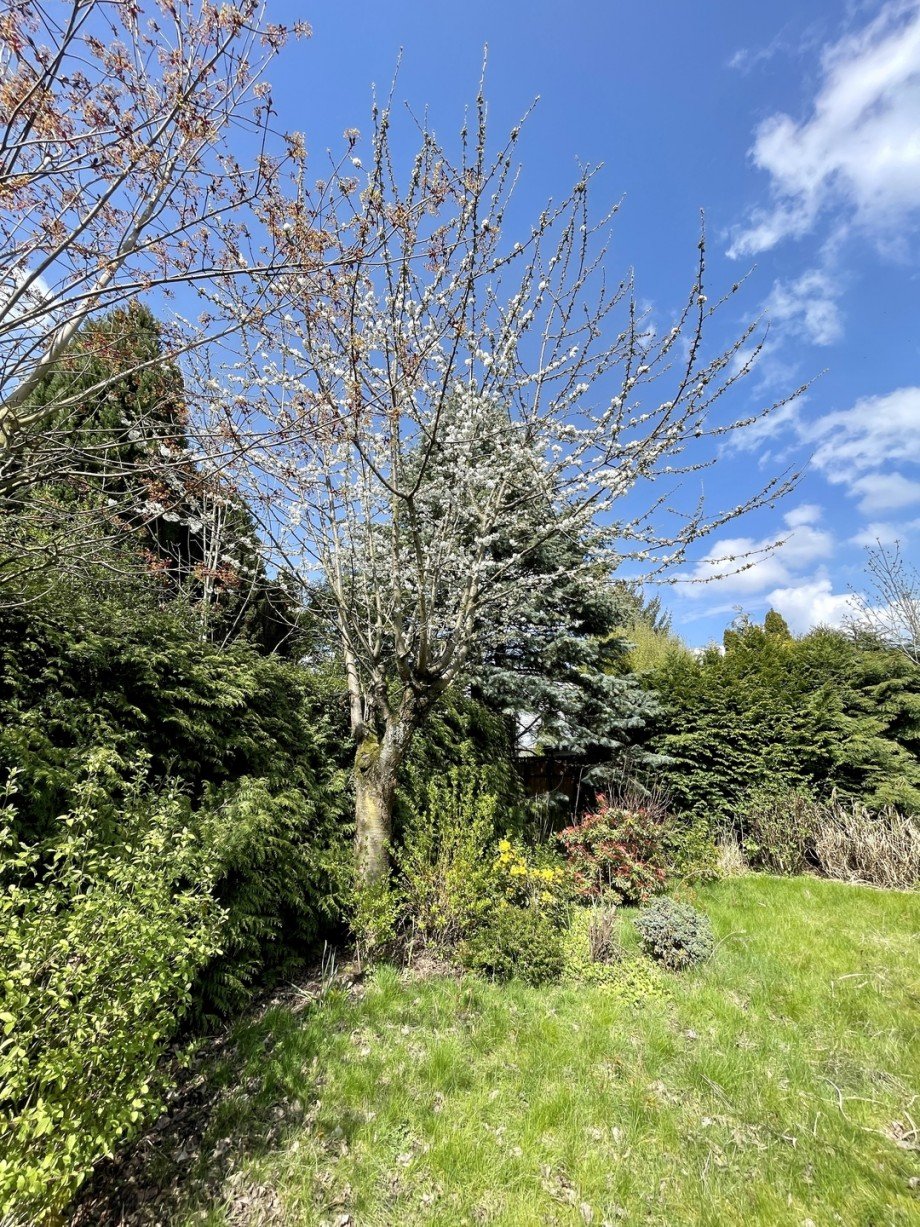 Garten Einfamilienhaus J�chen