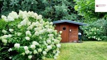 Garten im Sommer Einfamilienhaus in gehobener Wohnlage von Bedburdyck