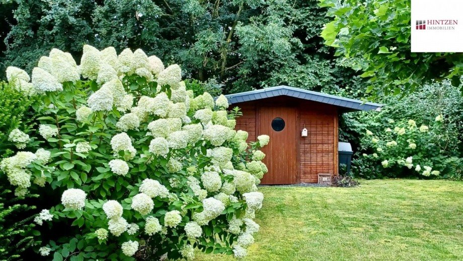 Garten im Sommer Einfamilienhaus J�chen