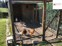 Bild (ebc5a50f9310ff8f85f86ebf17e28365): Einfamilienhaus in ruhiger Wohnlage von Grevenbroich / Neuenhausen