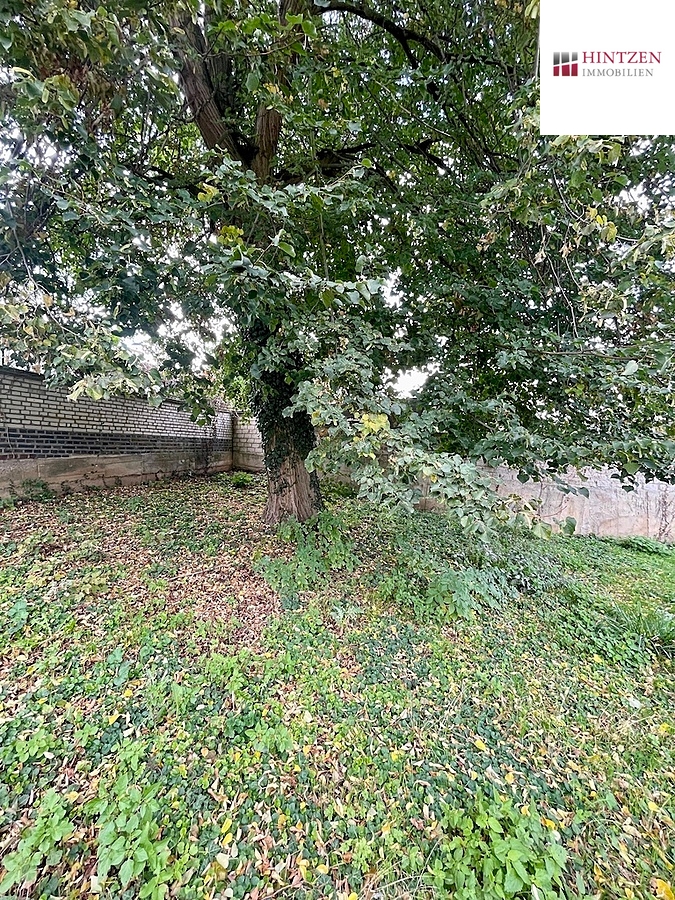 Garten Einfamilienhaus J�chen